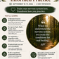 Healing Trauma from the Inside Out: A Mind–Body Approach